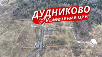 Изменение цен в  посёлке Дудниково